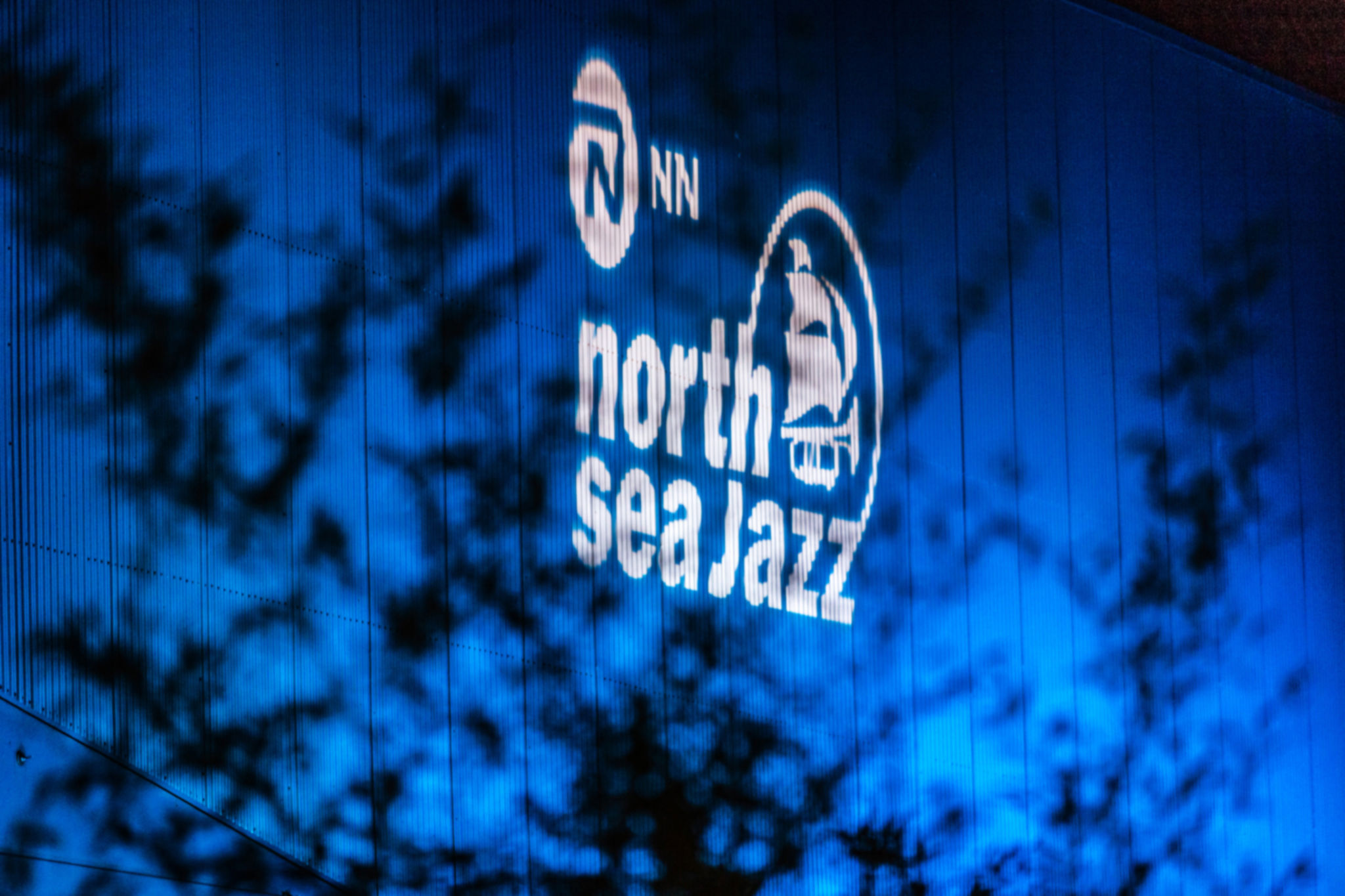 180714 Nn Northseajazz Nsj18 Mojo 0497 Jeroenroest Lqvervaagd (1)