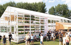 Ve 7607 Webuitsnede (1)