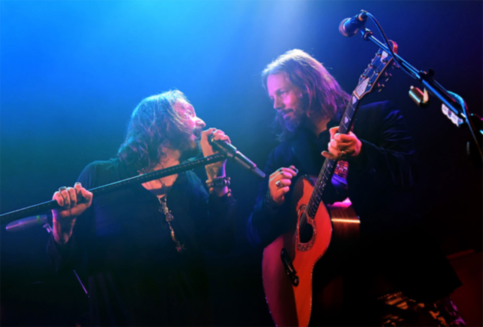 Blackcrowes