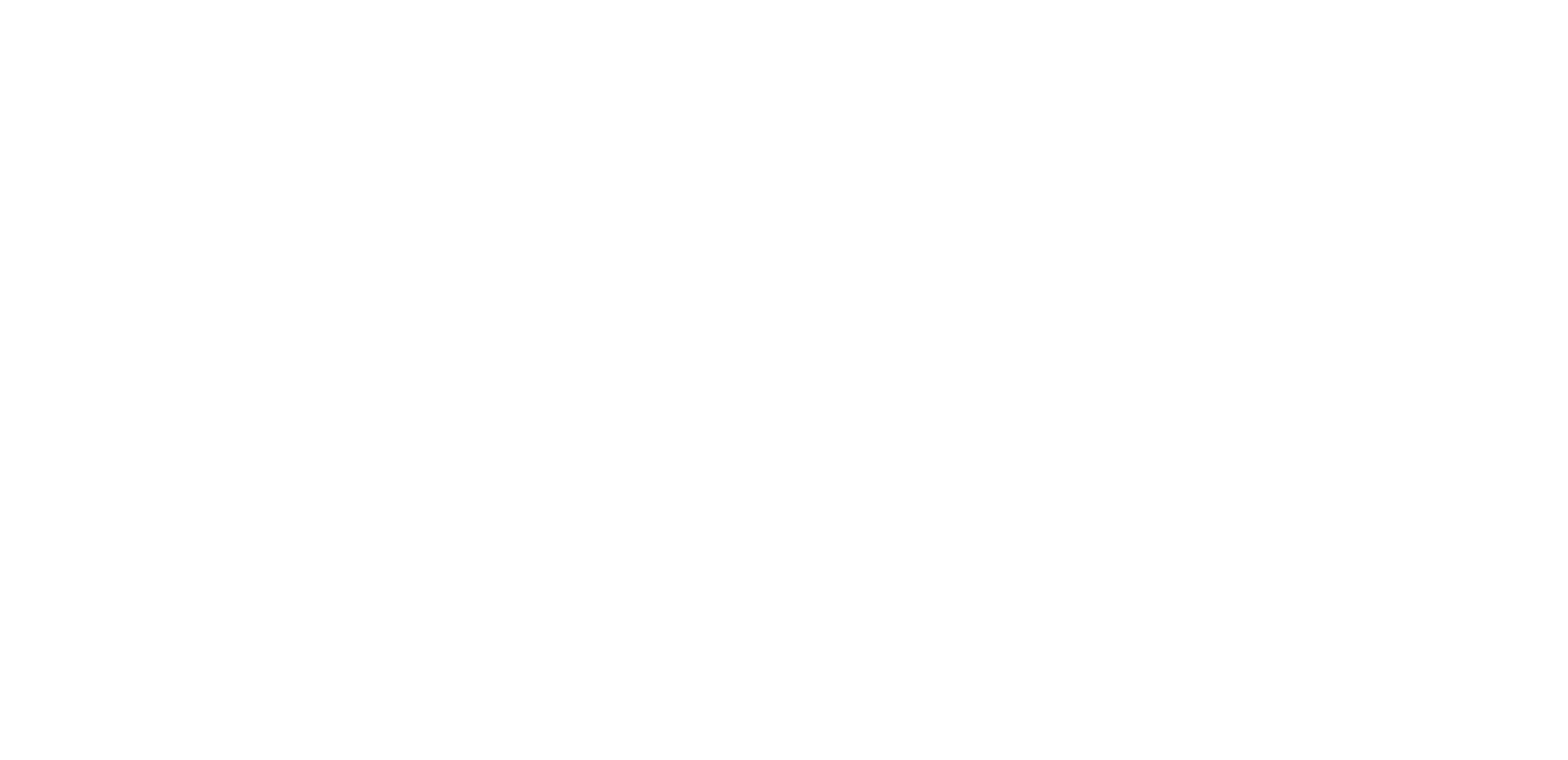 RGB NSJ Logo White 300DPI